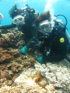 沖縄　ダイビング