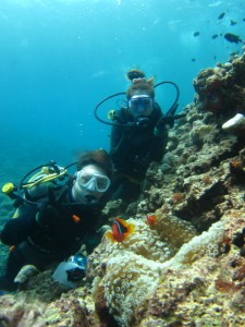 沖縄　ダイビング　恩納村