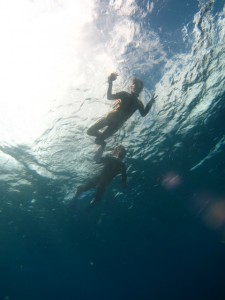 沖縄 ダイビング 慶良間