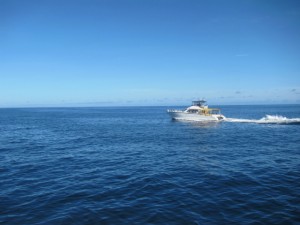 沖縄　ダイビング　慶良間