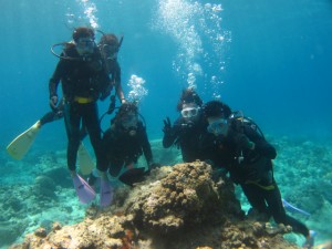 沖縄　ダイビング　慶良間