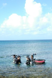 沖縄　ダイビング