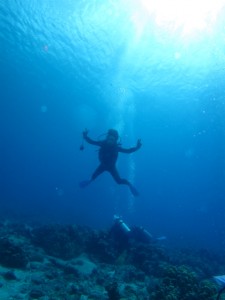 沖縄　ダイビング