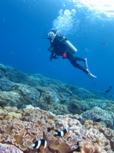 沖縄　ダイビング　ライセンス講習