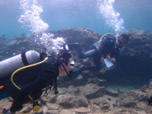 沖縄　ダイビング　ライセンス講習