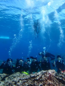 沖縄　ダイビング