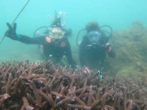 沖縄　体験ダイビング