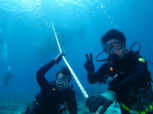 沖縄　体験ダイビング