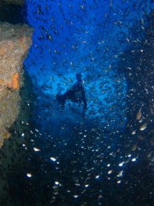 沖縄　ダイビング