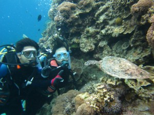 沖縄　ダイビング