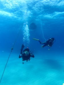 沖縄　ダイビング