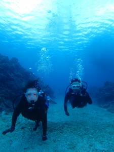 沖縄　ダイビング