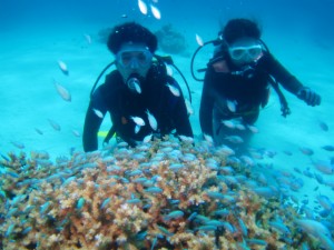 沖縄　ダイビング