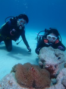 沖縄　ダイビング