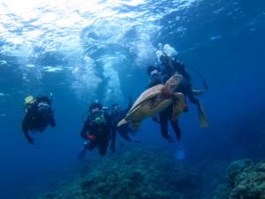 沖縄　ダイビング