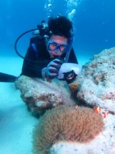 沖縄　ダイビング