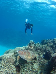 沖縄　ダイビング