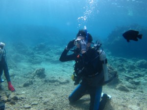 沖縄　ダイビング