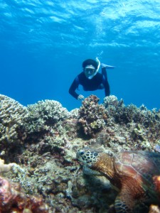 沖縄　ダイビング