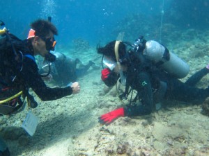 沖縄　ダイビング