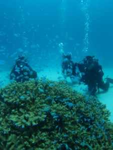 沖縄　ダイビング