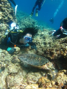 沖縄　ダイビング　慶良間