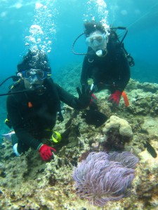 沖縄　ダイビング