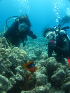 沖縄　ダイビング