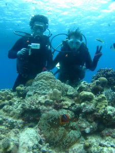 沖縄　ダイビング　慶良間