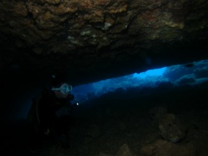 沖縄　ダイビング