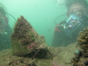 沖縄　ダイビング