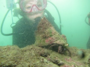 沖縄　ダイビング