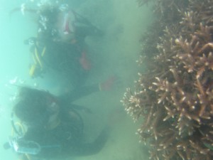 沖縄　ダイビング