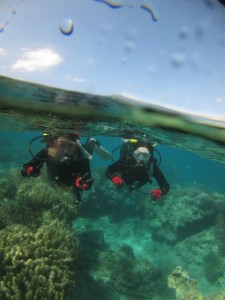沖縄　ダイビング