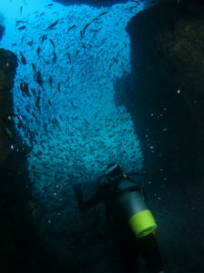 沖縄　ダイビング