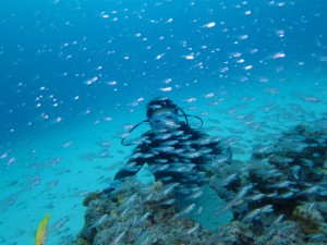 沖縄　ダイビング