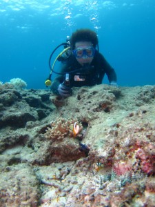 沖縄　ダイビング