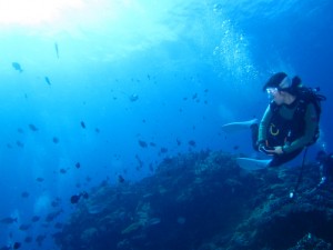 沖縄　ダイビング
