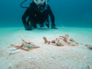 沖縄　ダイビング