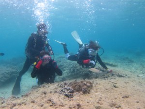 沖縄　ダイビング　崎本部