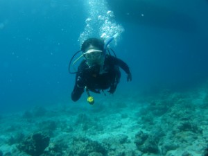 沖縄　ダイビング　オープンウォーター