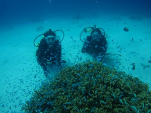 沖縄　ダイビング　慶良間