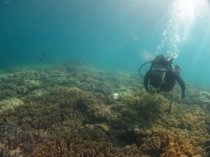 沖縄　ダイビング　砂辺