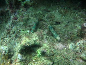 沖縄　ダイビング