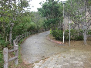 沖縄　ダイビング　石川岳　ネイチャーワークス