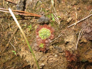 沖縄　ダイビング　ネイチャーワークス　石川岳