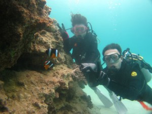 沖縄　ダイビング　崎本部　ゴリラチョップ