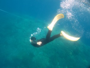 沖縄　ダイビング　体験　近海