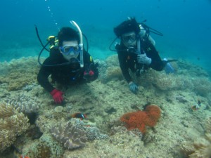 沖縄 ダイビング 体験 近海