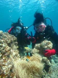 沖縄　ダイビング　慶良間